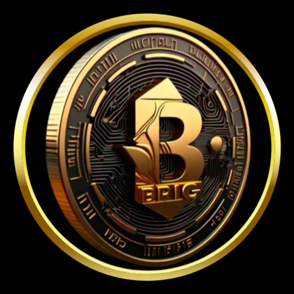 BRIG token coin